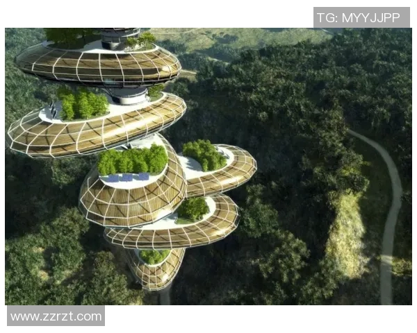 平福与清化的对比分析及其对未来发展的影响探讨 平福与清化的对比分析及其对未来发展的影响探讨